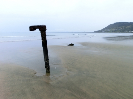 whangarei (54)